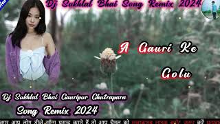 NewCgDjSong Remix2024  NewAGauri KeGolu  New CgDjSongRemix2024 256kmp3 [upl. by Eibba]