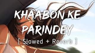 Khaabon Ke Parindey  Slowed  Reverb   by Mohit Chauhan  Music lyrics ❤ [upl. by Carmena]