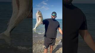 Surfcasting sicily surfcasting fisherman fishing fish fishingvideo fishinglife [upl. by Low]