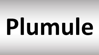 How to Pronounce Plumule [upl. by Llebanna]