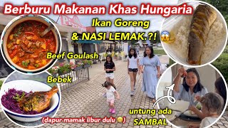 KAGET DIKASIH NASI LEMAK‼️BERBURU MAKANAN KHAS HUNGARIA DAPUR MAMAK LIBUR MASAK DULU [upl. by Anitnas]