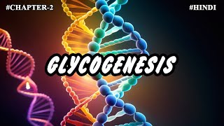 Chapter 2  Metabolism Of Carbohydrates Part6  Glycogenesis [upl. by Leahcar]