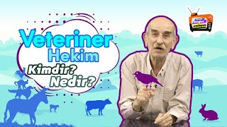 VETERİNER HEKİM KİMDİR NEDİR   SİNAN BENGİER İLE İZLEYEN BİLİR [upl. by Alih271]