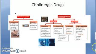 Pharmacology 101 e OrganoPhosphate Poisoning Treatment Carbamate Malathion Diazinon Pralidoxime [upl. by Sheldon]