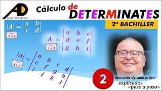 Calculo de DETERMINANTES ACADEMIADIEGO [upl. by Yramliw]