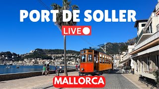 🔴LIVE in Port de Soller Majorca Mallorca  28 January 2024 [upl. by Verneuil380]