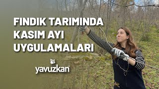 FINDIK TARIMINDA KASIM AYI UYGULAMALARI [upl. by Laertnom224]