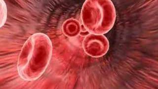 Medical animation of red blood cells [upl. by Murton]