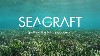 Seagraft  Terra Carta Design Lab finalist 2024  Royal College of Art [upl. by Alleynad]