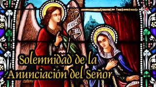 Caballeros de la Virgen La Anunciación del Señor Cuál temor tuvo María [upl. by Uzzi749]