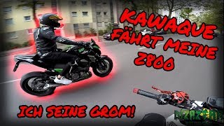 KAWAQUE FÄHRT MEINE Z800  ICH FAHRE SEINE GROM  DUALVLOG  DIZAZTAR [upl. by Caitrin73]