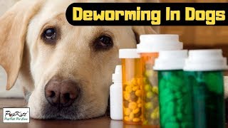 Deworming In Dogs Schedule amp Dosage  Why Deworming is important  PupkittPetCare [upl. by Vera97]