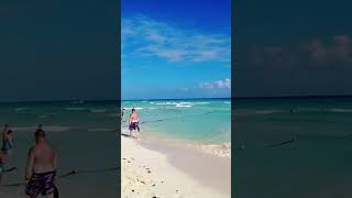 Sandos Playacar en Playa del Carmen [upl. by Owain863]