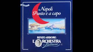 RENZO ARBORE E L’ORCHESTRA ITALIANA – Napoli Punto e a Capo 1992 FULL ALBUM [upl. by Ilaw]