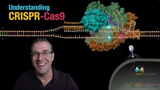 Understanding CRISPRCas9 [upl. by Arabelle]