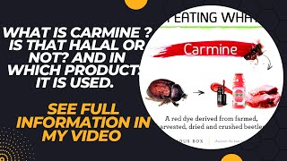 The bug in your food and makeup  Carmine is halal or not  cochineal bugs [upl. by Acimehs]