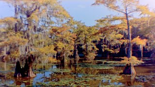 Bolex H16El Sirui 125 Anamorphic Angenieux 12120 Caddo Lake [upl. by Hake863]