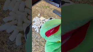 Elmo has s m o l l p e e p e e 👹 Comedy Funny Elmo Kermit Skit [upl. by Iht168]