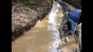 Sauble Beach ATV trails trapped in the mud gets no help from camera girl [upl. by Prentiss]