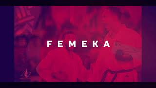 BIENVENIDO A TODOS AL CANAL OFICIAL DE FEMEKA [upl. by Marleah]