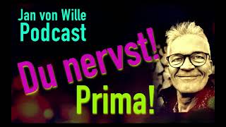 Du nervst mich Warum genau DAS dein Weg zur Selbsterkenntnis ist 🟡 Podcast Jan von Wille [upl. by Ylus497]