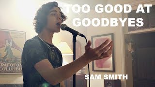 Sam Smith  Too Good At Goodbyes Cover by Alexander Stewart [upl. by Ridgley]