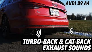 The PERFECT Exhaust Notes  Audi B9 A4  TurboBack amp CatBack Valved Exhaust  ECS Tuning [upl. by Ahdar]