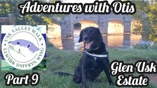 Usk Valley Walk with Otis  Part 9  Crickhowell to Glan Usk Estate [upl. by Nahs]