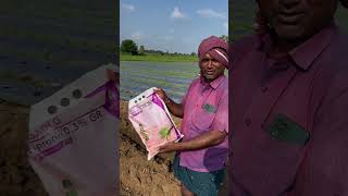 DAP  fipronil farming agriculture jaijavanjaikisan [upl. by Kama340]