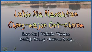 Labis Na Nasaktan Karaoke  Korean Version  Chongmajun Gotchorom Karaoke  Baek Ji Young  HD [upl. by Ardnaed241]