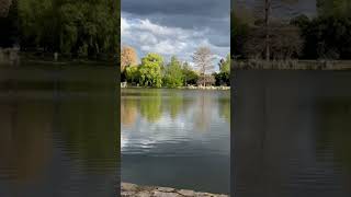 Beautiful scenery at Lake Burley Griffin Canberra [upl. by Andel]