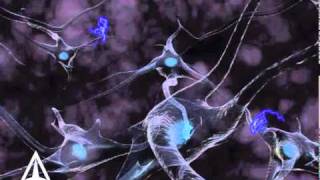 How Neurotransmission amp brain signals work  3D animation [upl. by Vullo]