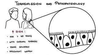 Understanding Influenza  The Flu [upl. by Sev]