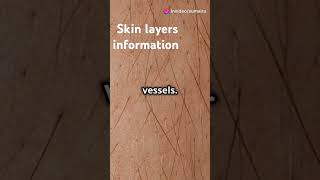 How much layer of skin do we have  Skin layers information [upl. by Gerk509]