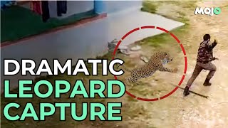 Kashmir Leopard Attacks Wildlife Official After Entering A Residential Area [upl. by Indnahc]