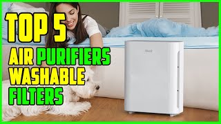 TOP 5 Best Air Purifiers with Permanent and Washable Filters 2023 [upl. by Niboc]