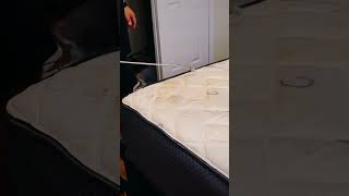 Mattress cleaning jetstreamclean jetstreamclean jetstreamclean [upl. by Ojaras]