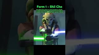 The Definition Of LIGHTSABER FORMS In Star Wars shorts [upl. by Ofori]