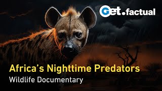 Africas Hunters of the Night  Wildlife Documentary [upl. by Ydnor]