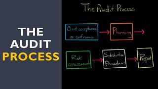 The Audit Process [upl. by Adnorat]