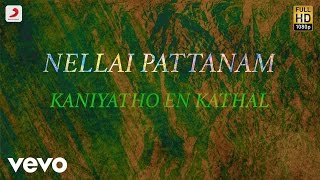 Nellai Pattanam  Kaniyatho En Kathal Tamil Lyric  Shyam Shankar [upl. by Newby]