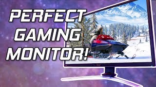 This Is The PERFECT Monitor 😍 Acer Nitro XV273K Review [upl. by Riesman]