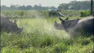 sapanavillagelodge lodge chitwan nepal welcome Rhino park wildlife birdwatching [upl. by Nylatsyrc]