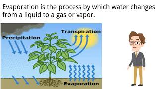 Evapotranspiration [upl. by Westleigh]