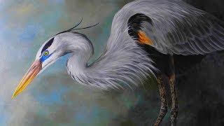 🐦 Great Blue Heron with Call Sound [upl. by Ymme]