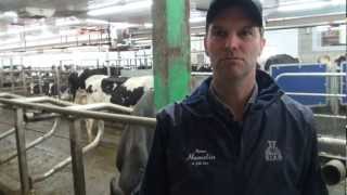 Aux petits soins pour ses vaches [upl. by Ycart]