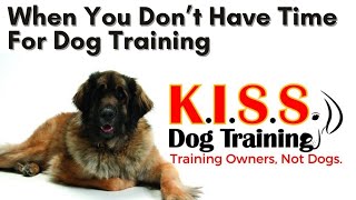 No Time For Dog Training How to Improve Behavior Without Extra Time According to Expert Mike Deathe [upl. by Harrat31]