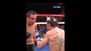 Marquez vs Katsidis fight boxing [upl. by Carissa]