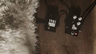 LVL up your Preamp 1981 Inventions LVL  jhspedals Haunting Mids Preamp new npd 1981 lvl [upl. by Rossing907]