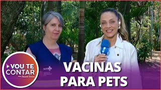 Veterinária explica importância de vacina contra a raiva em cães e gatos [upl. by Ollehcram]